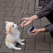 Lade das Bild in den Galerie-Viewer, Blaugrau / 1er Set