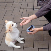 Lade das Bild in den Galerie-Viewer, Rosa / Hunde Set