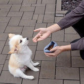 Lade das Bild in den Galerie-Viewer, Blaugrau - Rosa / 2er