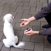 Lade das Bild in den Galerie-Viewer, Rosa / 2er