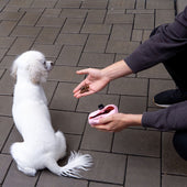 Lade das Bild in den Galerie-Viewer, Rosa / 1er Set