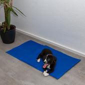 Lade das Bild in den Galerie-Viewer, Blau / 50 x 90 cm