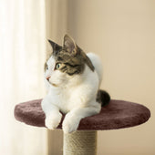 Lade das Bild in den Galerie-Viewer, Intirilife Kratzbaum in Braun - 60 x 50 x 185 cm - Stabiler Katzenkratzbaum mehrstufiger Kletterbaum mit Aussichtsplattformen Höhlen Plüschbommeln und Sisal-Kratzstangen