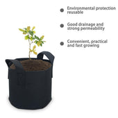 Lade das Bild in den Galerie-Viewer, 20 Liter - 5 Gallon - 30 x 25 cm / 10 Stück