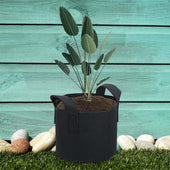 Lade das Bild in den Galerie-Viewer, 26 Liter - 7 Gallon - 35 x 30 cm / 10 Stück