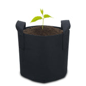 Lade das Bild in den Galerie-Viewer, 38 Liter - 10 Gallon - 40 x 30 cm / 10 Stück