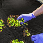 Lade das Bild in den Galerie-Viewer, 1mx75m (75m²)