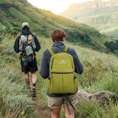 Lade das Bild in den Galerie-Viewer, Limette