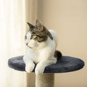 Lade das Bild in den Galerie-Viewer, Intirilife Kratzbaum in Grau - 60 x 50 x 185 cm - Stabiler Katzenkratzbaum mehrstufiger Kletterbaum mit Aussichtsplattformen Höhlen Plüschbommeln und Sisal-Kratzstangen