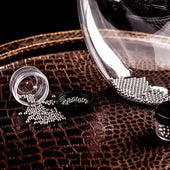 Lade das Bild in den Galerie-Viewer, Intirilife Reinigungsperlen aus Edelstahl zum Reinigen von Glasgefäßen - 3 mm Durchmesser - Reinigungsperlen für Glaskaraffen, Vasen, Flaschen, rostfrei, 100 Stück