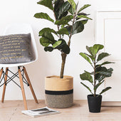 Lade das Bild in den Galerie-Viewer, 20 x 20 x 20 cm