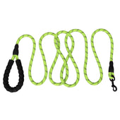 Lade das Bild in den Galerie-Viewer, Intirilife Reflektierende Nylon Hundeleine Haustierleine in Grün mit 1.5 Metern Länge zum Spazieren gehen mit Ihrem Haustier