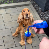 Lade das Bild in den Galerie-Viewer, Blau