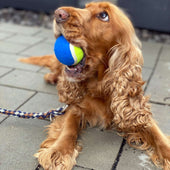 Lade das Bild in den Galerie-Viewer, Blau