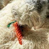 Lade das Bild in den Galerie-Viewer, Intirilife 10x Hunde Spielzeug Kauspielzeug aus Baumwolle - Spielzeug für Hunde Katzen Haustiere zum Kauen für ideale Zahnpflege zum Spielen und Entspannen