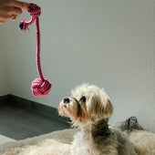 Lade das Bild in den Galerie-Viewer, Intirilife 10x Hunde Spielzeug Kauspielzeug aus Baumwolle - Spielzeug für Hunde Katzen Haustiere zum Kauen für ideale Zahnpflege zum Spielen und Entspannen