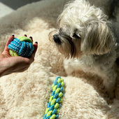 Lade das Bild in den Galerie-Viewer, Intirilife 10x Hunde Spielzeug Kauspielzeug aus Baumwolle - Spielzeug für Hunde Katzen Haustiere zum Kauen für ideale Zahnpflege zum Spielen und Entspannen