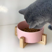 Lade das Bild in den Galerie-Viewer, Pink