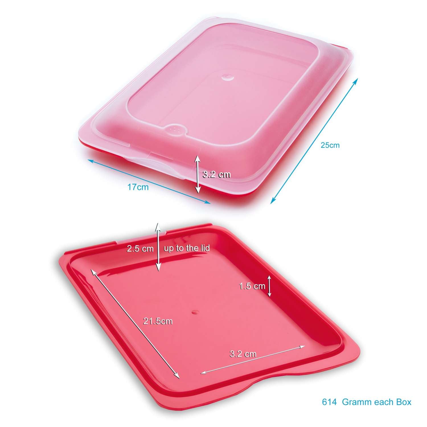 Intirilife 4x Aufschnittboxen Set - Außen 25 x 17 x 3.2 cm - Innen 21.5 x 14.5 x 1.5/2.5 cm - Mehrweg Frischhalte Aufschnitt Dosen Stapelbar BPA-frei spülmaschinengeeignet